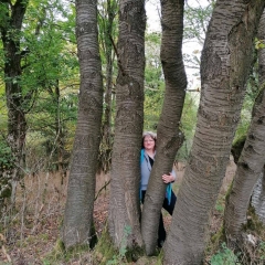 Waldbaden mit „Babs“