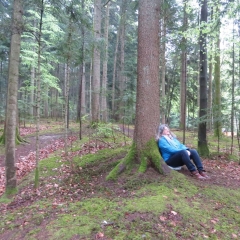 Waldbaden mit „Babs“