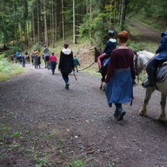 Sonntagsspaziergang zu Pferd