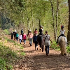Sonntagsspaziergang zu Pferd