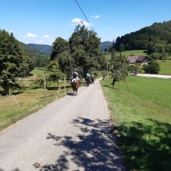 Schuttertal-Ritt am Sonntag