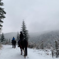 Schuttertal-Ritt am Sonntag