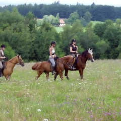 Reitferien auf Leutstettenern