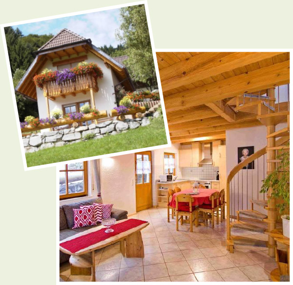 Ferienwohnnung Seelbach