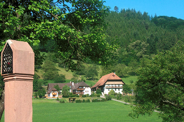 Der Kempfenhof im Sommer