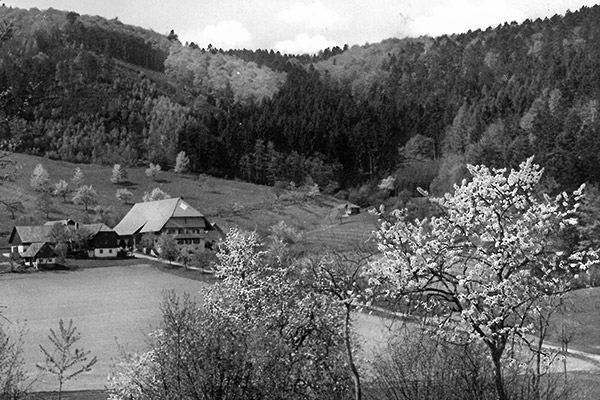 Historische Aufnahme vom Hof